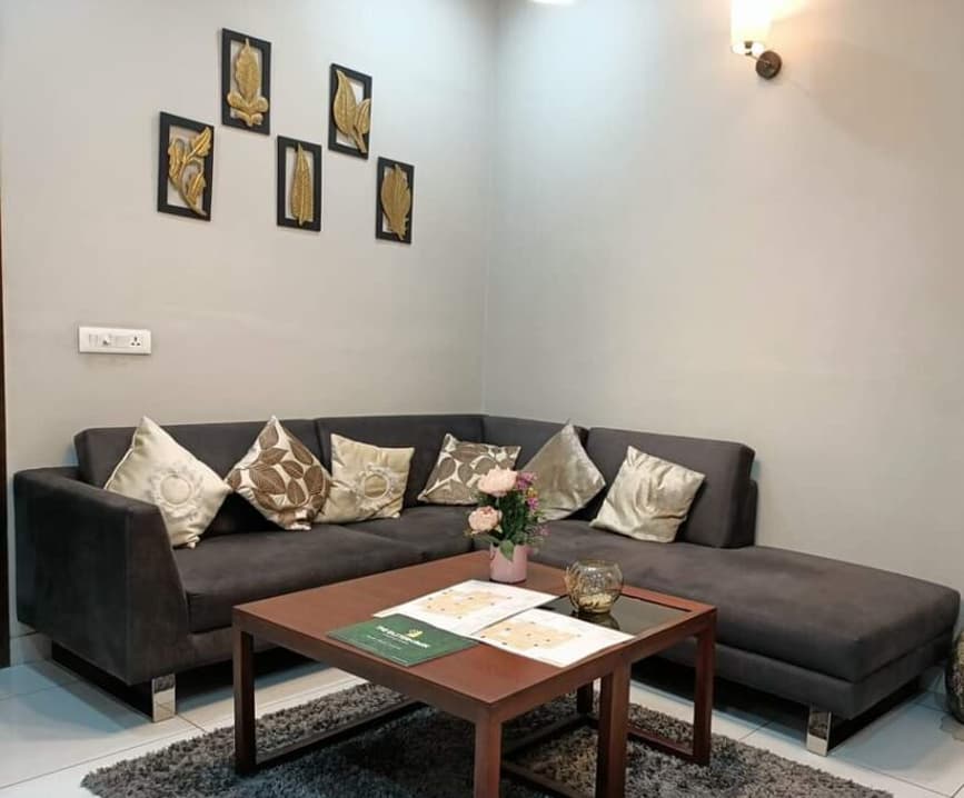 Professional carpet cleaning