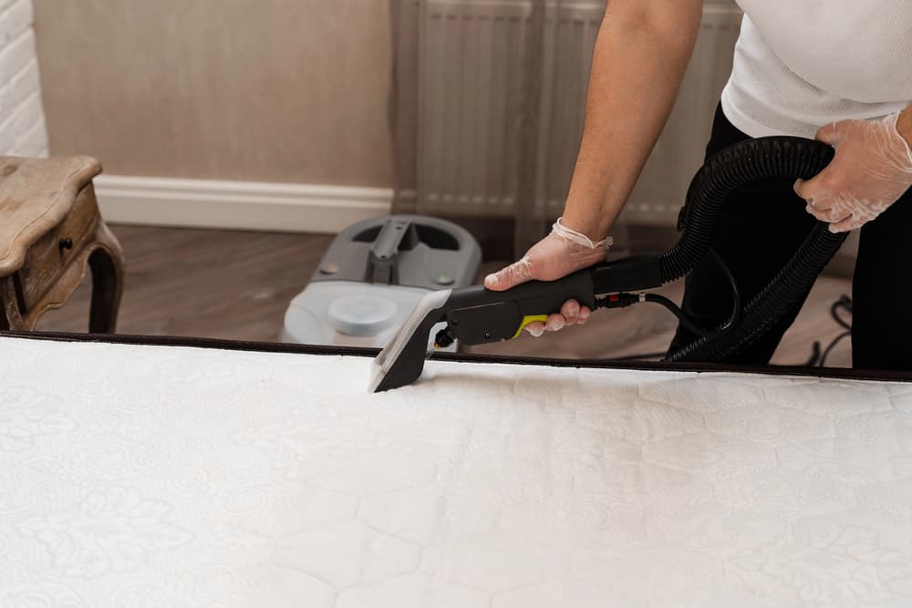 Mattress Cleaning service in Ludhiana